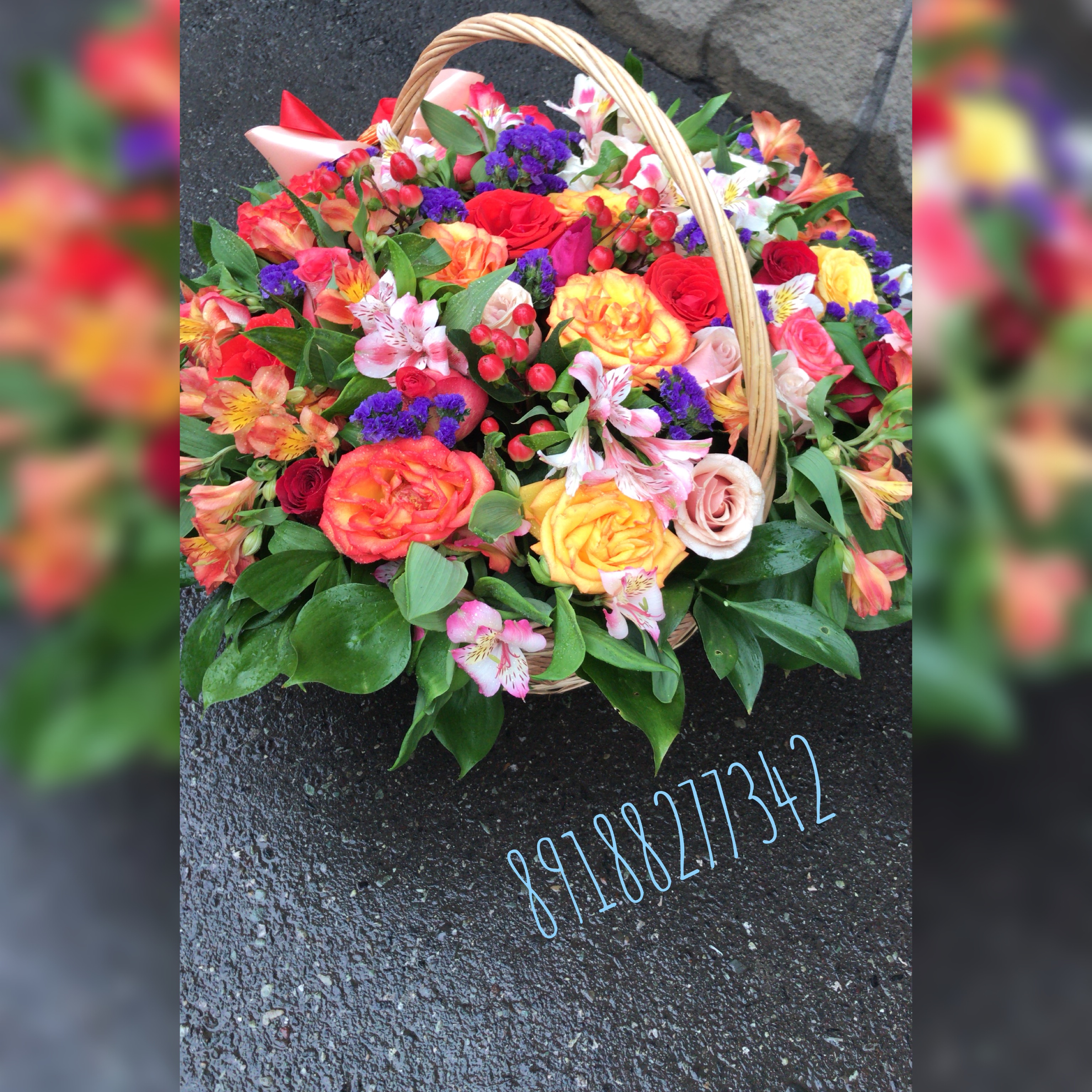 сказочный  лес